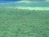 [thumbnail of Picture 7]