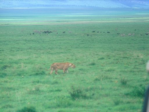 Image1528.web.jpg