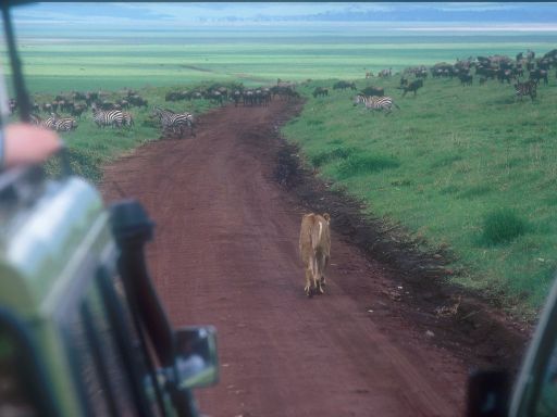 Image1532.web.jpg