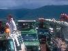 [thumbnail of Picture 13]