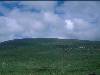 [thumbnail of Picture 16]