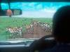 [thumbnail of Picture 17]