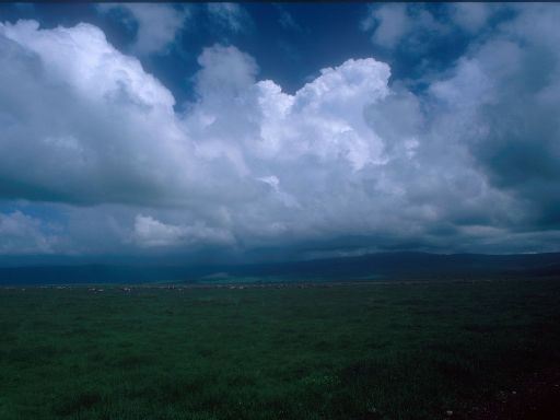 Image1540.web.jpg