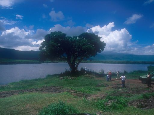 Image1542.web.jpg