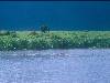 [thumbnail of Picture 23]