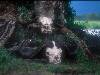[thumbnail of Picture 25]