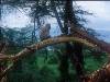 [thumbnail of Picture 27]