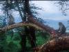 [thumbnail of Picture 28]