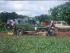 [thumbnail of Picture 33]
