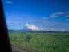 [thumbnail of Picture 35]