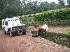 [thumbnail of Picture 7]