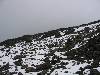 [thumbnail of Picture 18]