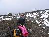 [thumbnail of Picture 19]