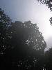 [thumbnail of Picture 22]