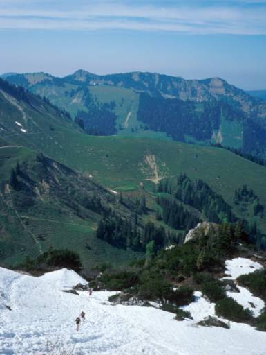 Image17.web.jpg