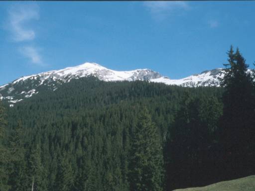 Image1.web.jpg