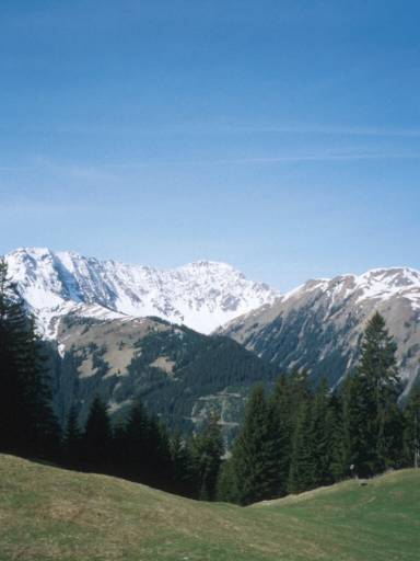Image2.web.jpg
