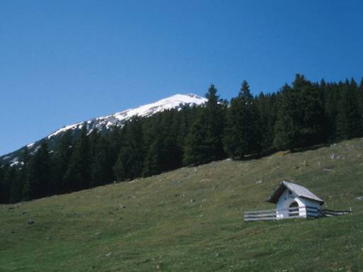 Image21.web.jpg