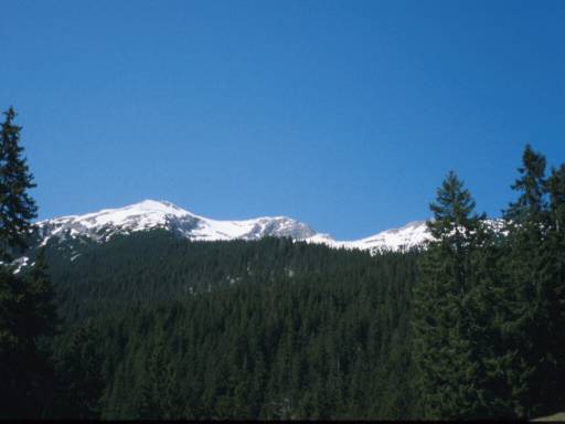 Image22.web.jpg