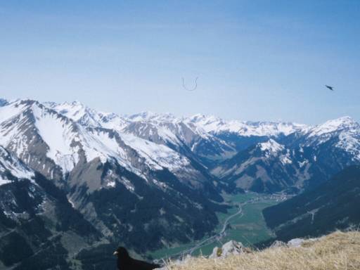 Image5.web.jpg