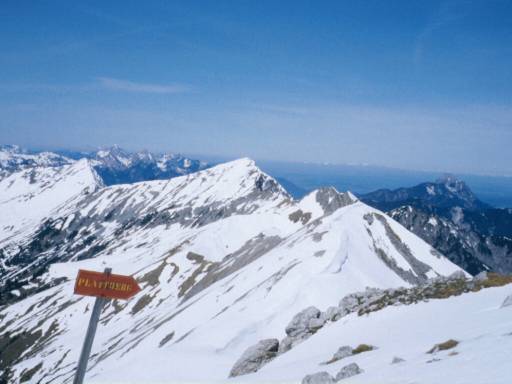Image6.web.jpg