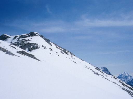 Image7.web.jpg