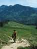 [thumbnail of Picture 2]