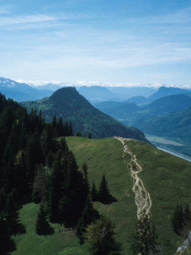 Image8.web.jpg