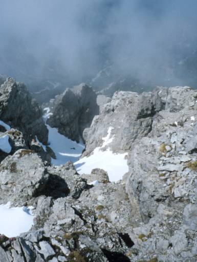 Image14.web.jpg