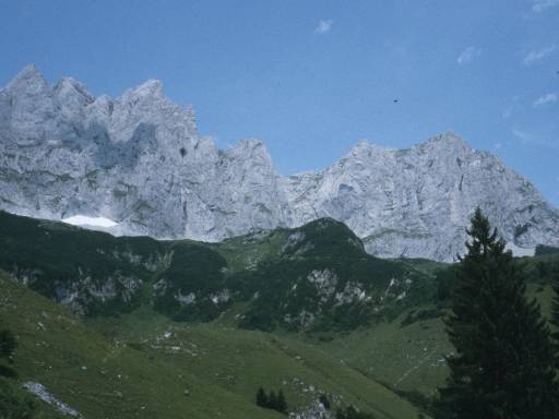 Image0003.web.jpg