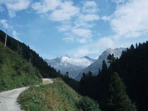 Image0002.web.jpg