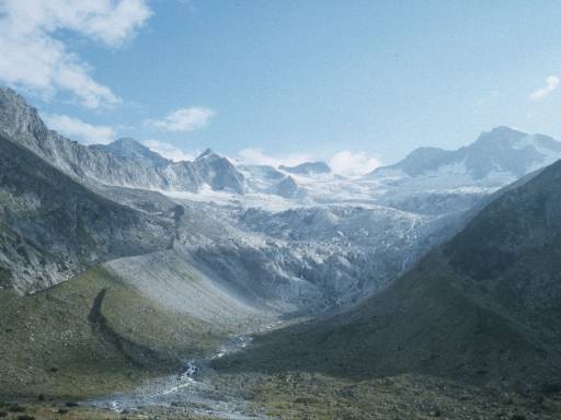 Image0006.web.jpg