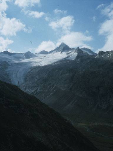 Image0007.web.jpg
