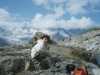 [thumbnail of Picture 8]