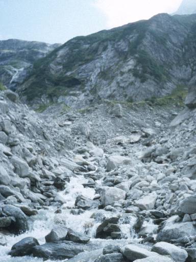 Image0017.web.jpg
