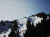[thumbnail of Picture 4]