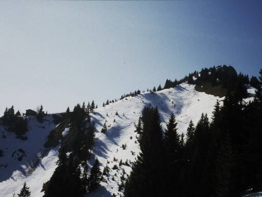 Image0273.web.jpg