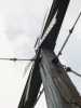[thumbnail of Picture 4]