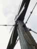 [thumbnail of Picture 5]