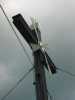 [thumbnail of Picture 7]
