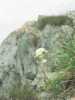 [thumbnail of Picture 17]