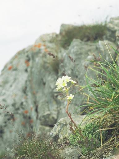 Image0021.web.jpg