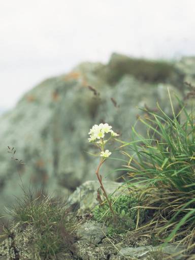 Image0022.web.jpg