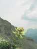 [thumbnail of Picture 19]