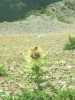 [thumbnail of Picture 20]