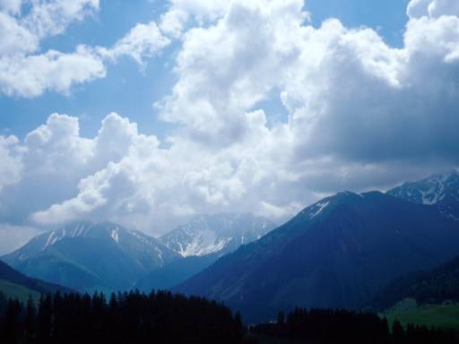 Image21.web.jpg