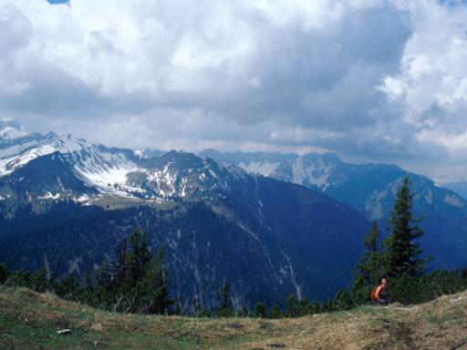 Image22.web.jpg