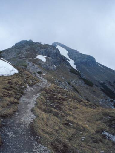 Image28.web.jpg