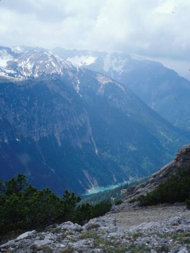 Image29.web.jpg