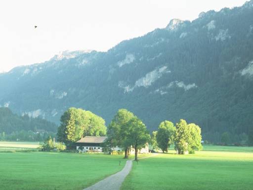 Image0025.web.jpg